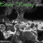 Die Herder-Koning Word Gebore